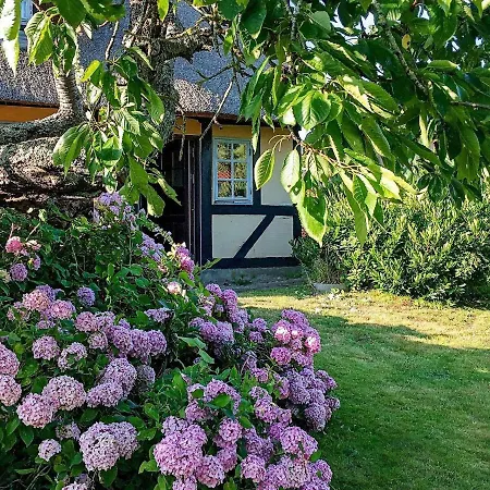 Idyllic Countryside Retreat-By Traum Holiday home Rudkobing