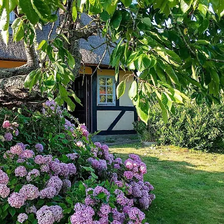 Idyllic Countryside Retreat-By Traum Holiday home